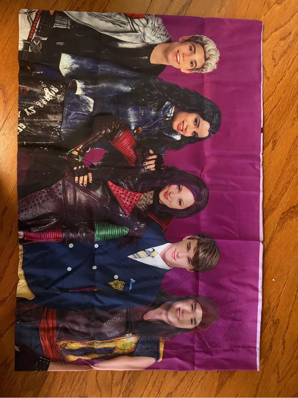 Disney Descendants Purple and Black Reversible Pillowcase, new